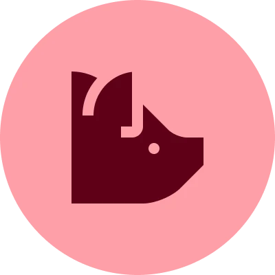 HE icon