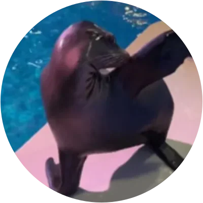 ARIE icon