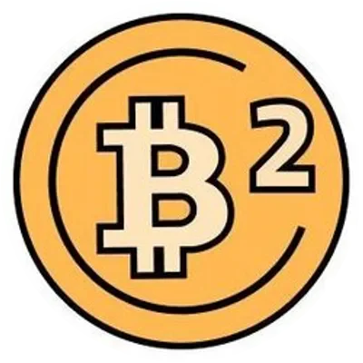 B2 icon