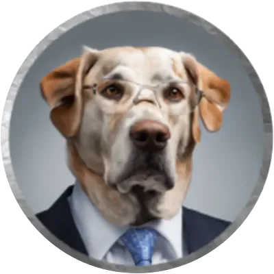 BINK icon
