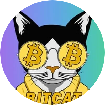 BITCAT icon
