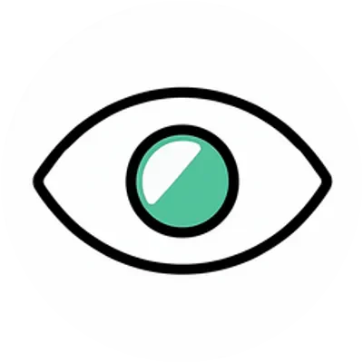 BLINK icon