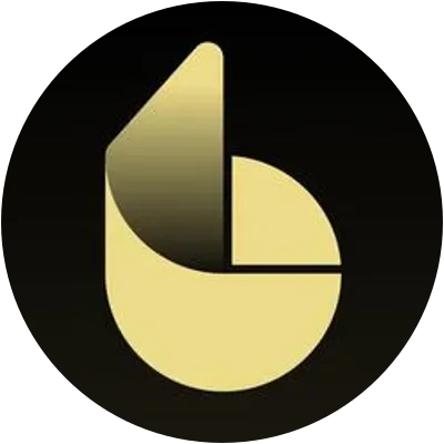 BMMF icon