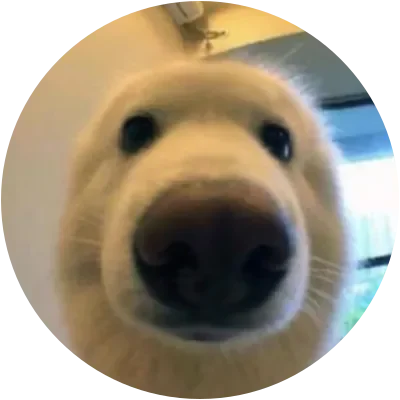 BOOP icon