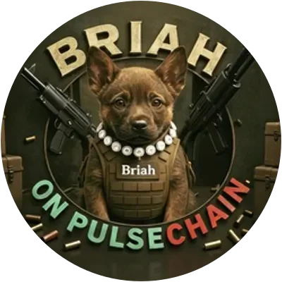 BRIAH icon