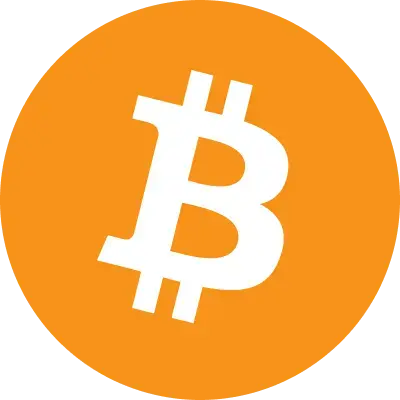 Bitcoin icon