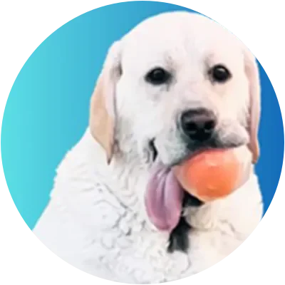 BUSTER icon
