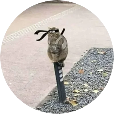 CATANA icon