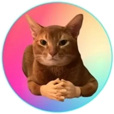 CATWIF icon