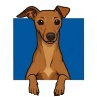 COSMO icon