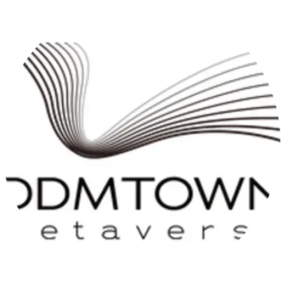 DDMT icon
