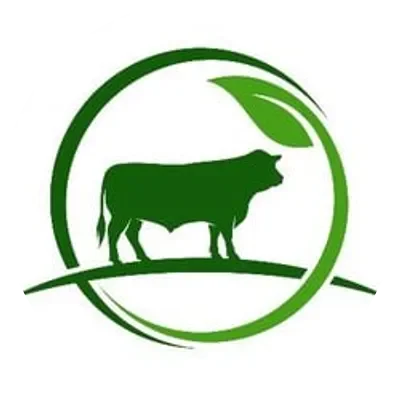 DMTR icon