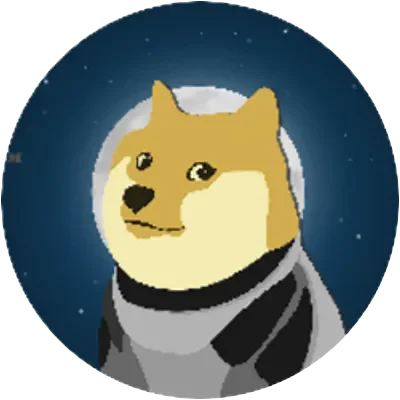 DOGE1 icon