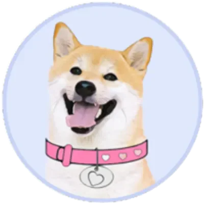 DOGEGF icon