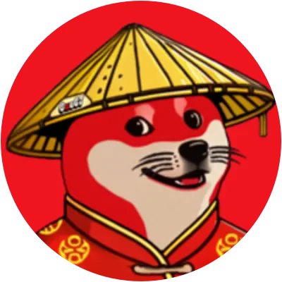 DOGEI icon