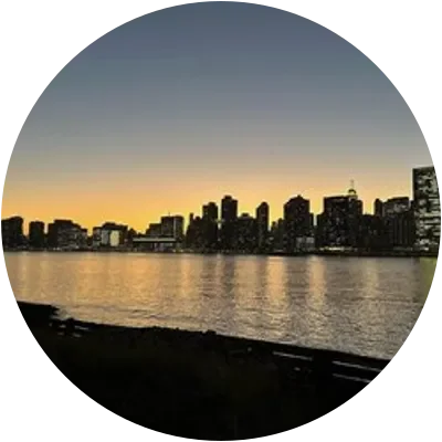 DOGSHIT2 icon