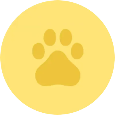 DXCT icon