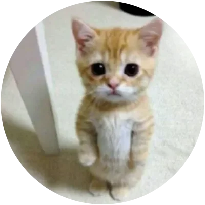 ELGATO icon