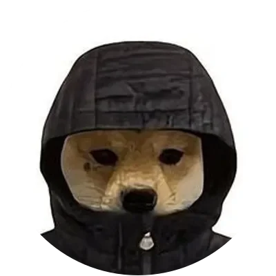 FIW icon