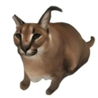 FLOPPA icon
