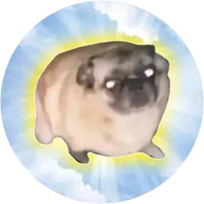 HAPPYDOG icon