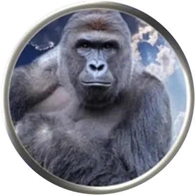 HARAMBE icon