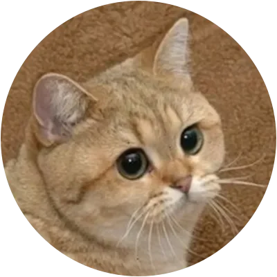 HELIA icon