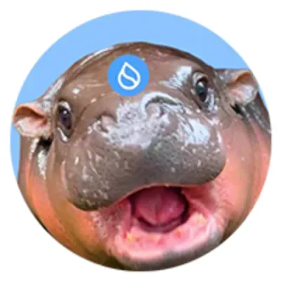 HIPPO icon