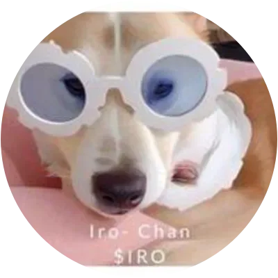 IRO icon