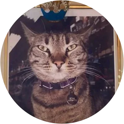 KITKAT icon