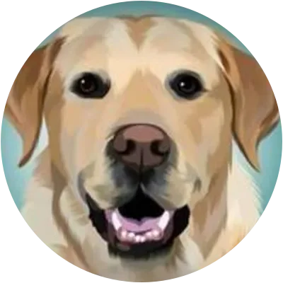 MAGNUS icon