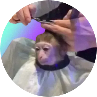MONK icon