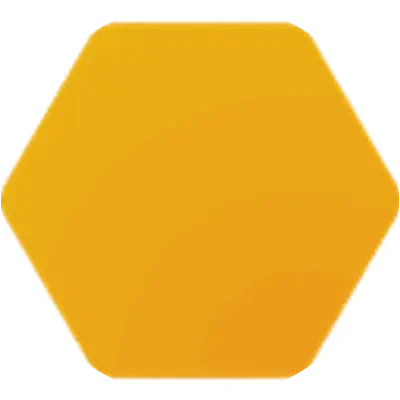 NIM icon