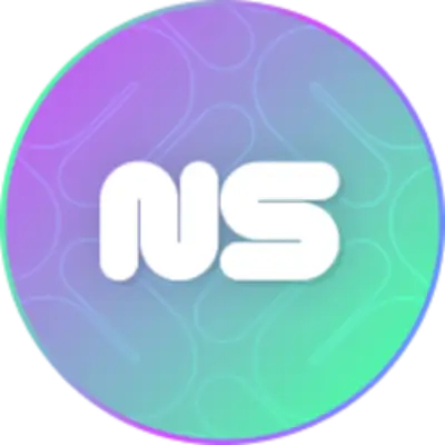 NS icon