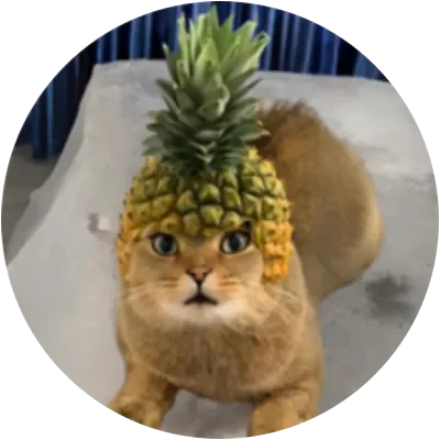 PCAT icon