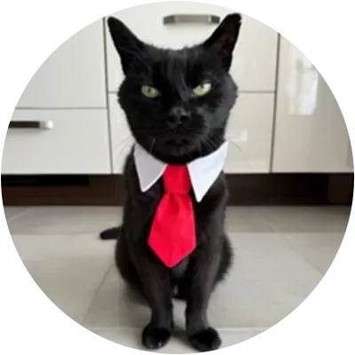 PEPITO icon