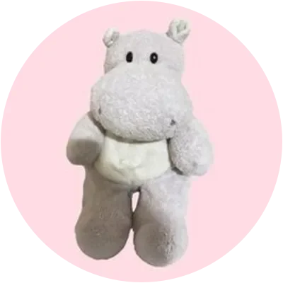PETUNIA icon