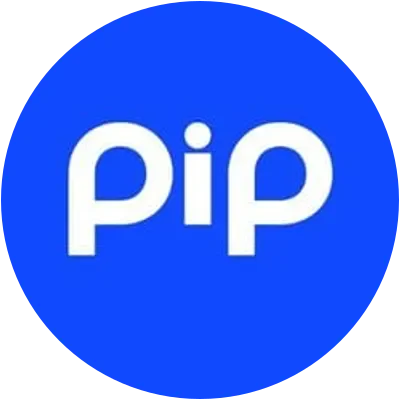 PIP icon