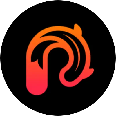 PNDO icon