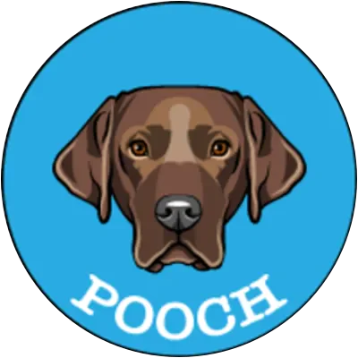POOCH icon
