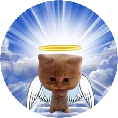 PUMPCAT icon
