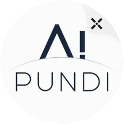 PUNDIAI icon