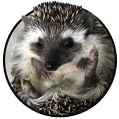 SHRUB icon
