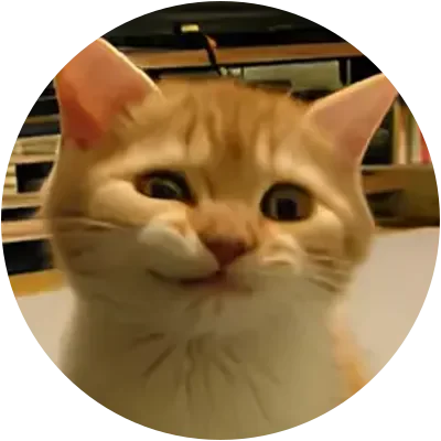 SIRIUS icon