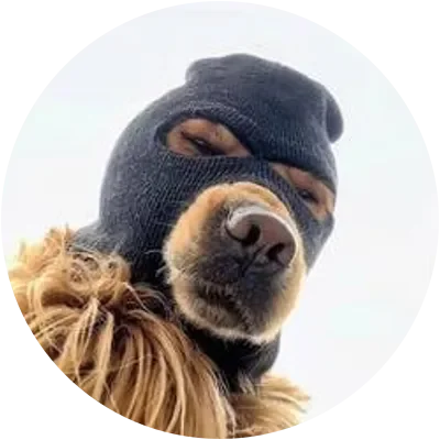SKI icon