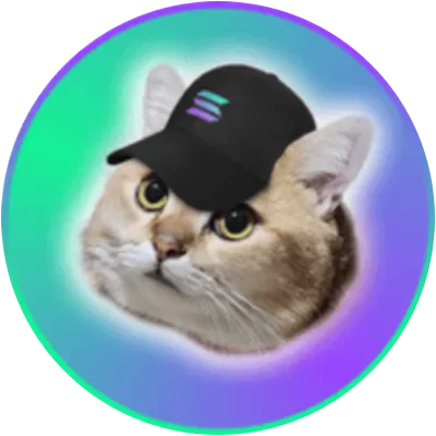 SOLCAT icon