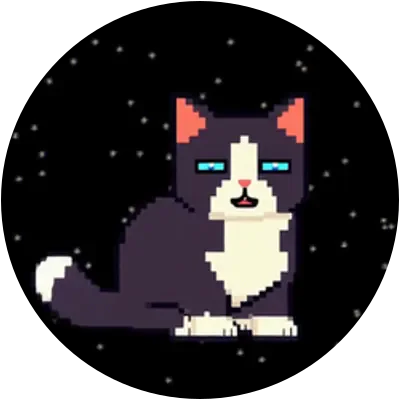 SPACECAT icon