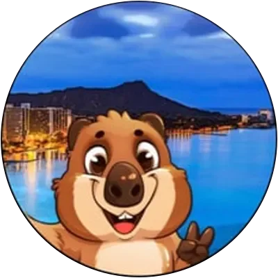 SSE icon
