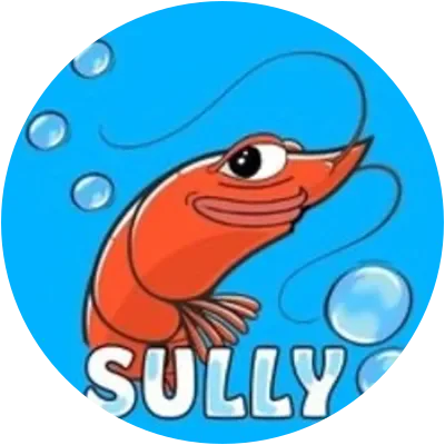 SULLY icon