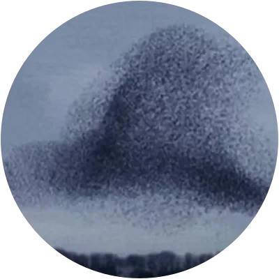 SWARM icon